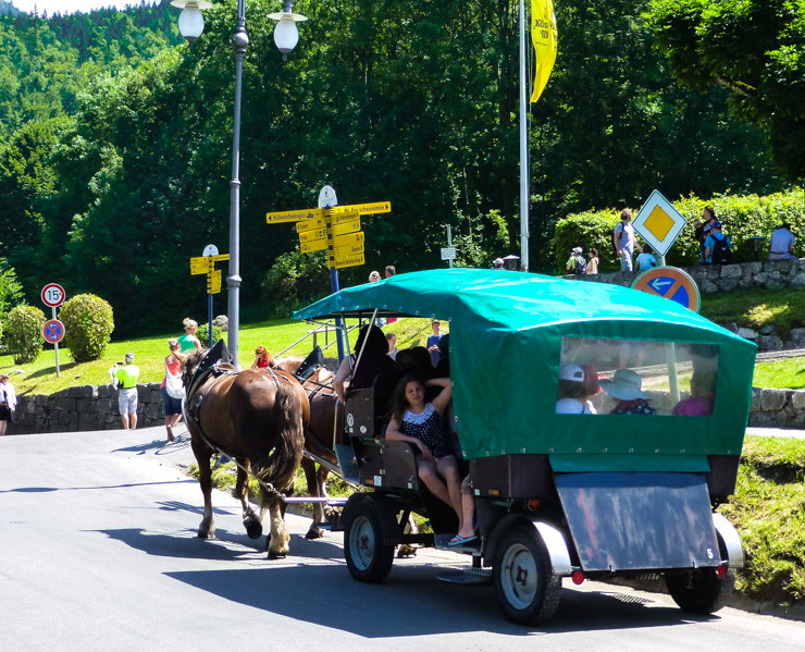 A horse-drawn carriage is one way to get to Neuschwanstein Castle. 