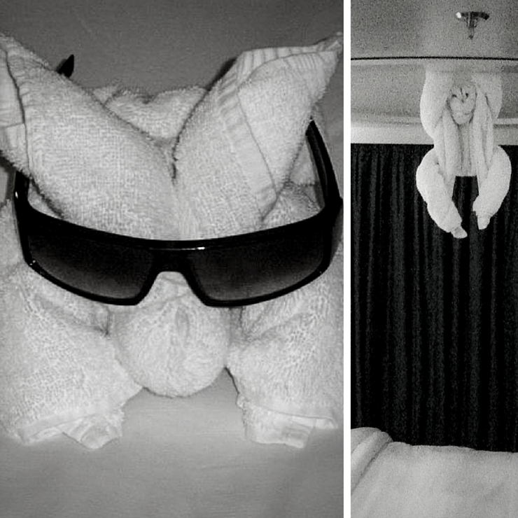 Just don't hate on the towel animals. 