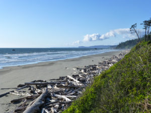 Where to Go in the Pacific Northwest Now