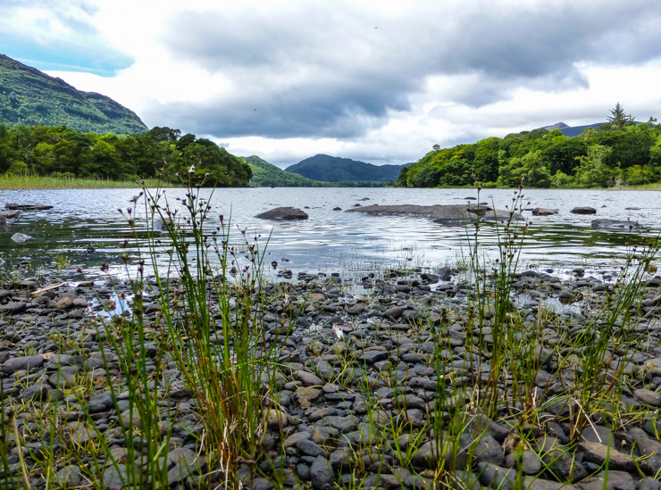 Killarney is home to the GORGEOUS Killarney National Forest.