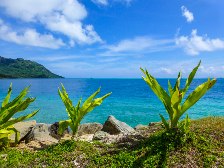 Blissful Huahine