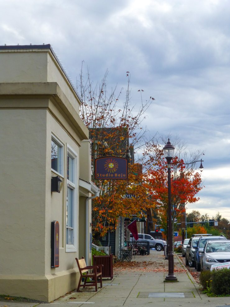 Main Street in Duvall.