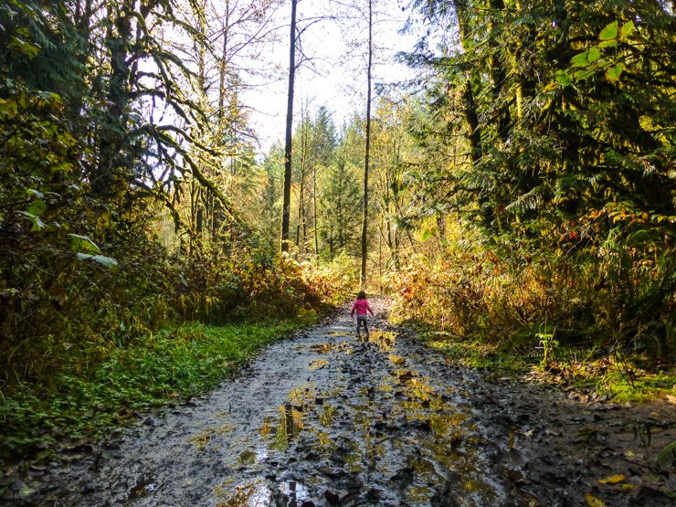 Toddler hike in Duvall, Washington to Cherry Creek Falls. 