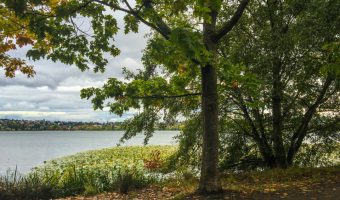 Green Lake Neighborhood in Seattle