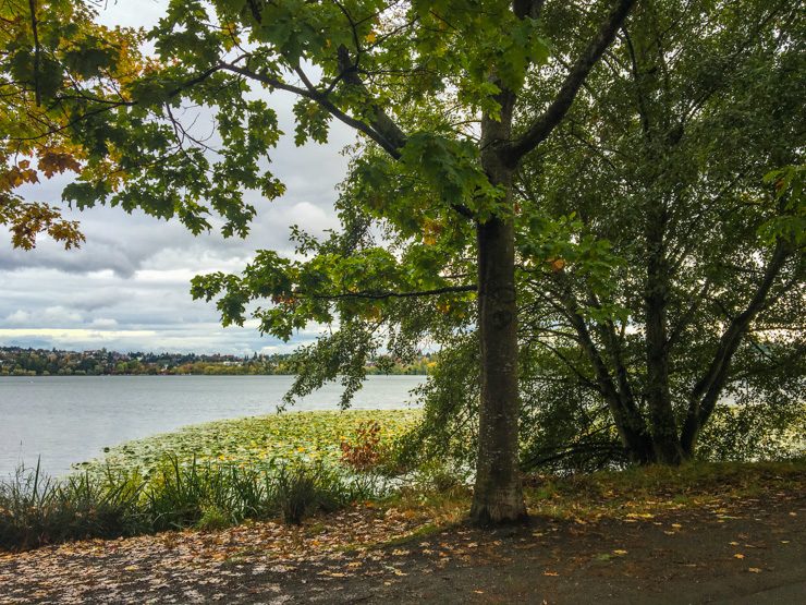 Green Lake Neighborhood in Seattle