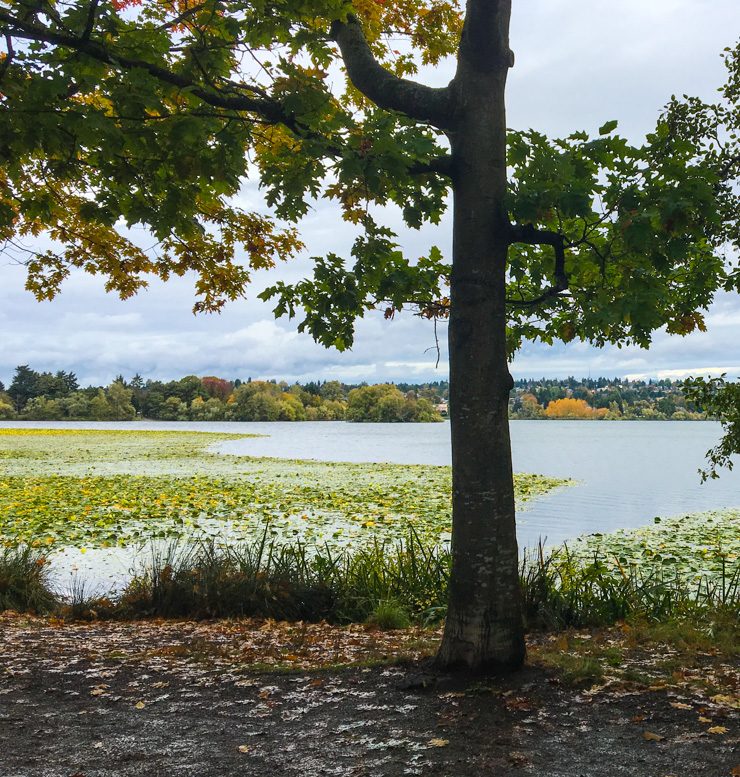 Green Lake, Seattle