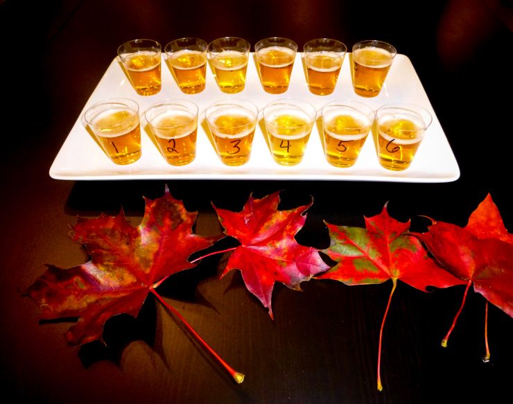 IPA Beer Tasting