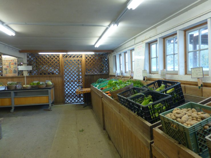 Jubilee Farm Fresh Vegetables