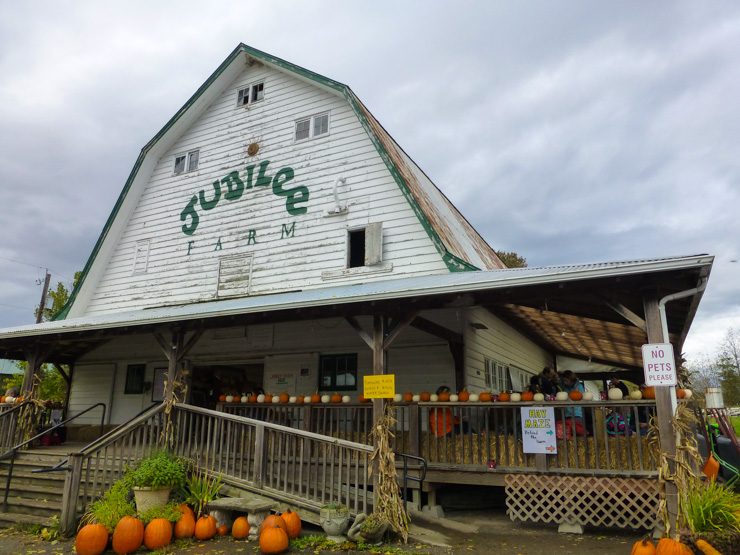 Jubilee Farm in Carnation
