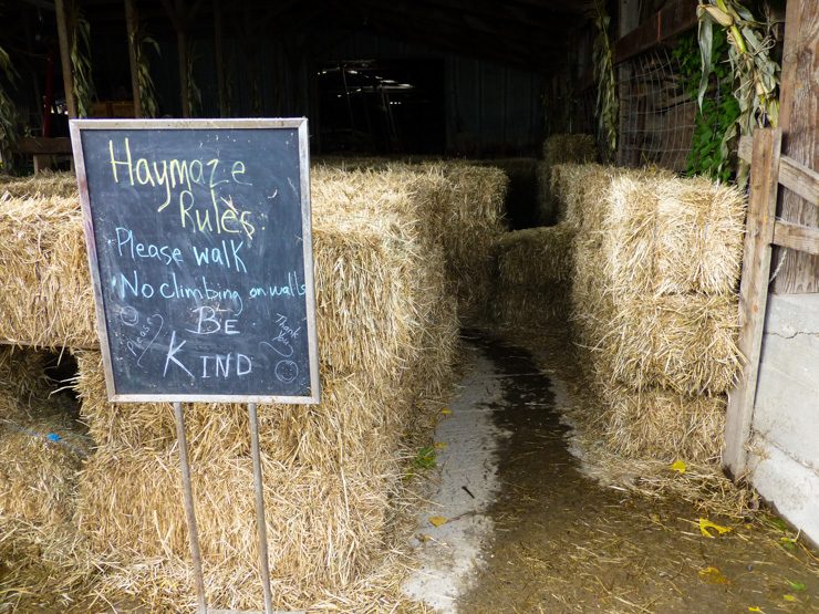 Fun little hay maze. Lulu got so excited when we found the exit! 