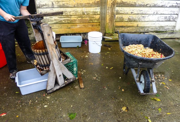 Apple press for cider. 