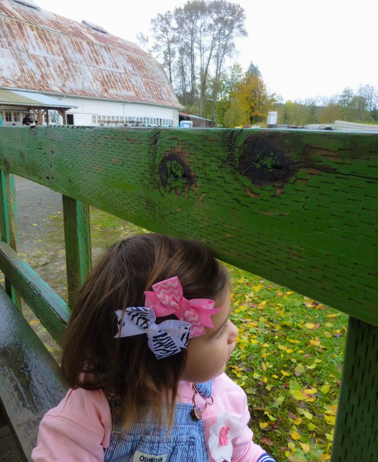She preferred the bench on the side instead of the hay bales in the middle. 
