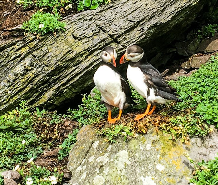 Can you believe these people thought they could make a last minute reservation to see us on Skellig Michael? 