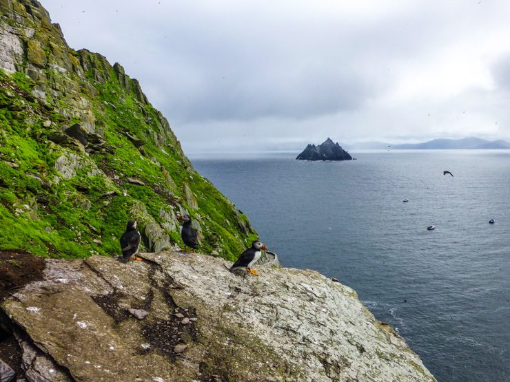 Puffins overlooking Little Skellig in the distance.