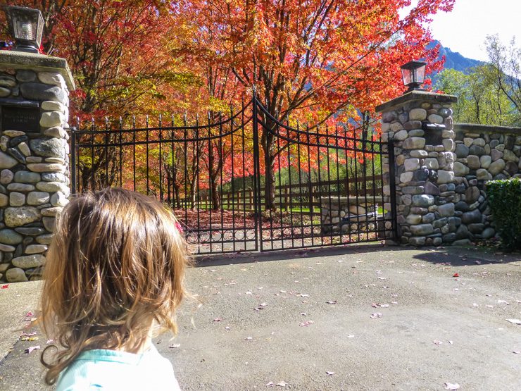 Leaf hunting in Snoqualmie, Washington