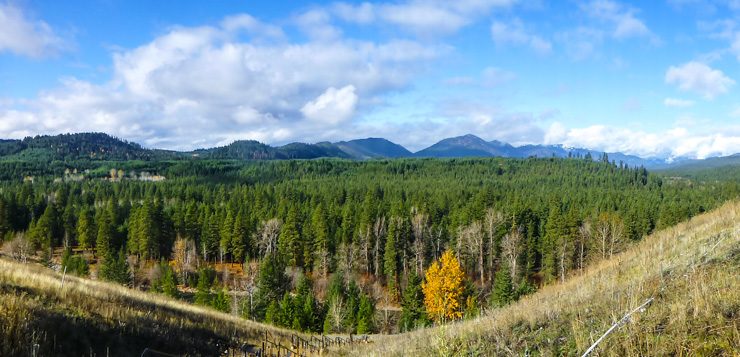 Suncadia Resort Views in Washington.