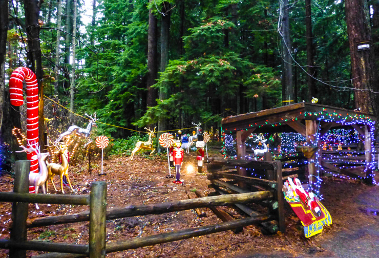 One of many Bright Nights display at Stanley Park in Vancouver during the winter. 