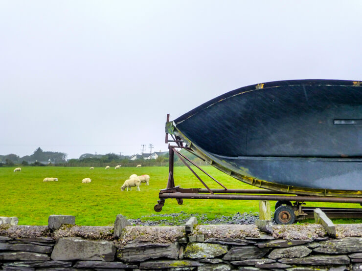 Sheep and boats dot the landscape in Valentia.