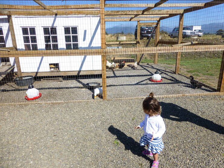 We loved Blue Heron French Cheese Company in Tillamook, Oregon, which had wine tasting in the shop and farm animals outside! Win, win for all ages. 