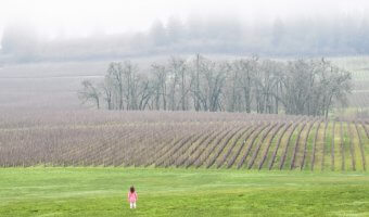 Tips for Wine Tasting with a Toddler