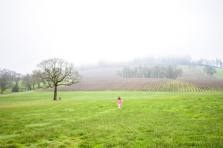 Exploring the grounds of a winery. 