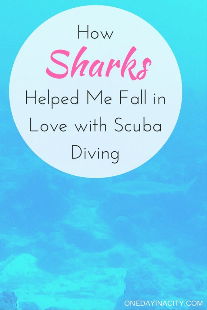 Scuba Diving with Sharks in Moorea, French Polynesia: I was scared of seeing sharks while scuba diving...until I actually saw sharks while diving in French Polynesia, including a 10-foot lemon shark!