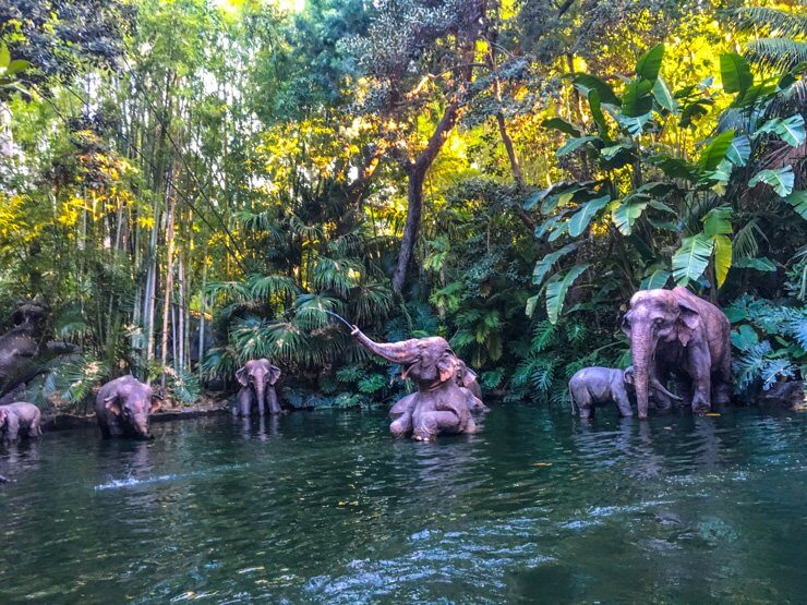 Elephants on the Jungle Cruise ride at Disneyland