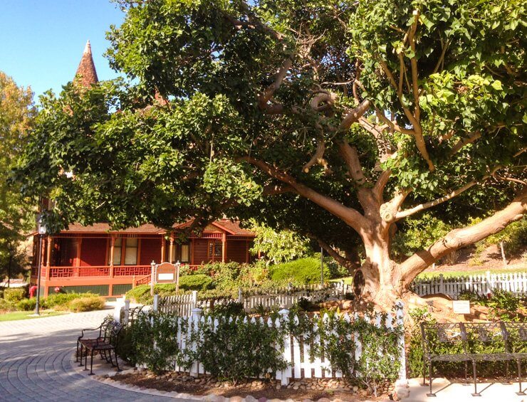 Historic building in Old Town