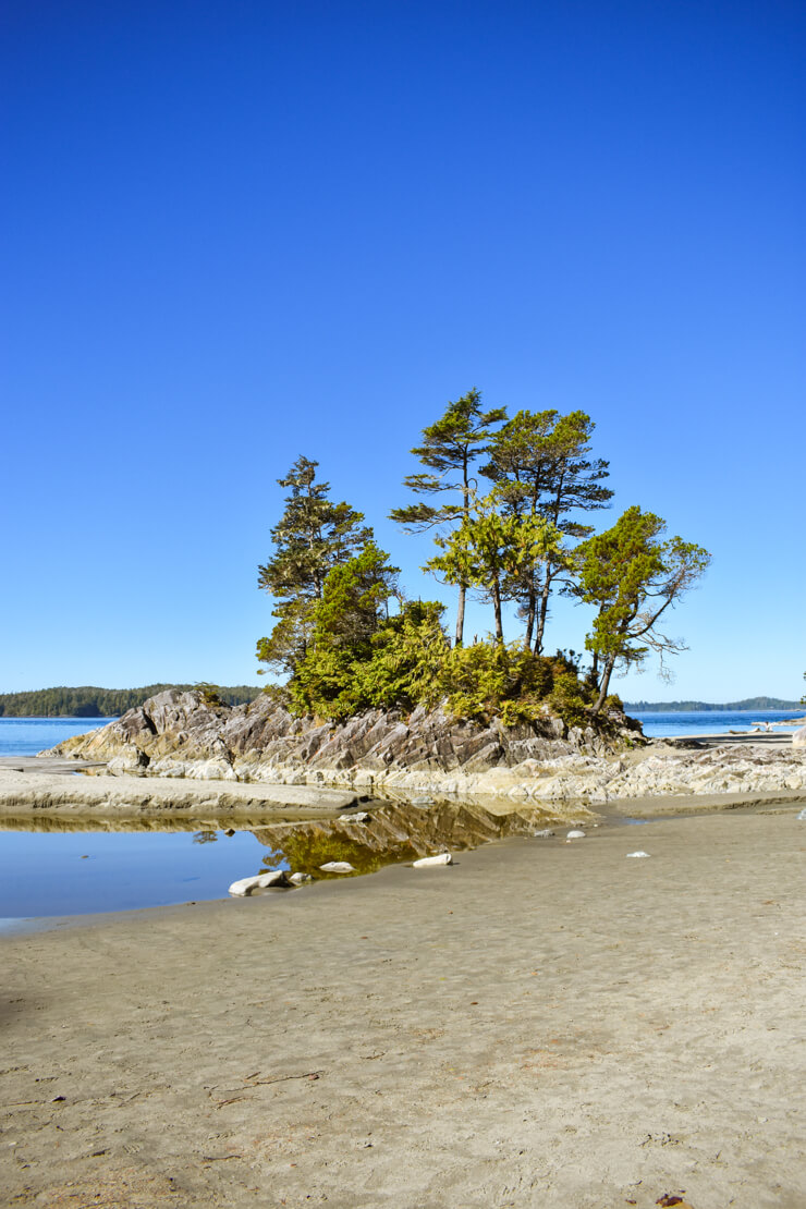 Tonquin Park Beach in Tofino