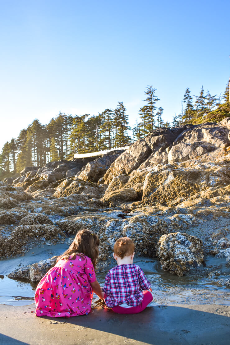 Looking for sea urchins in tide pools on Cox Bay Beach in Tofino