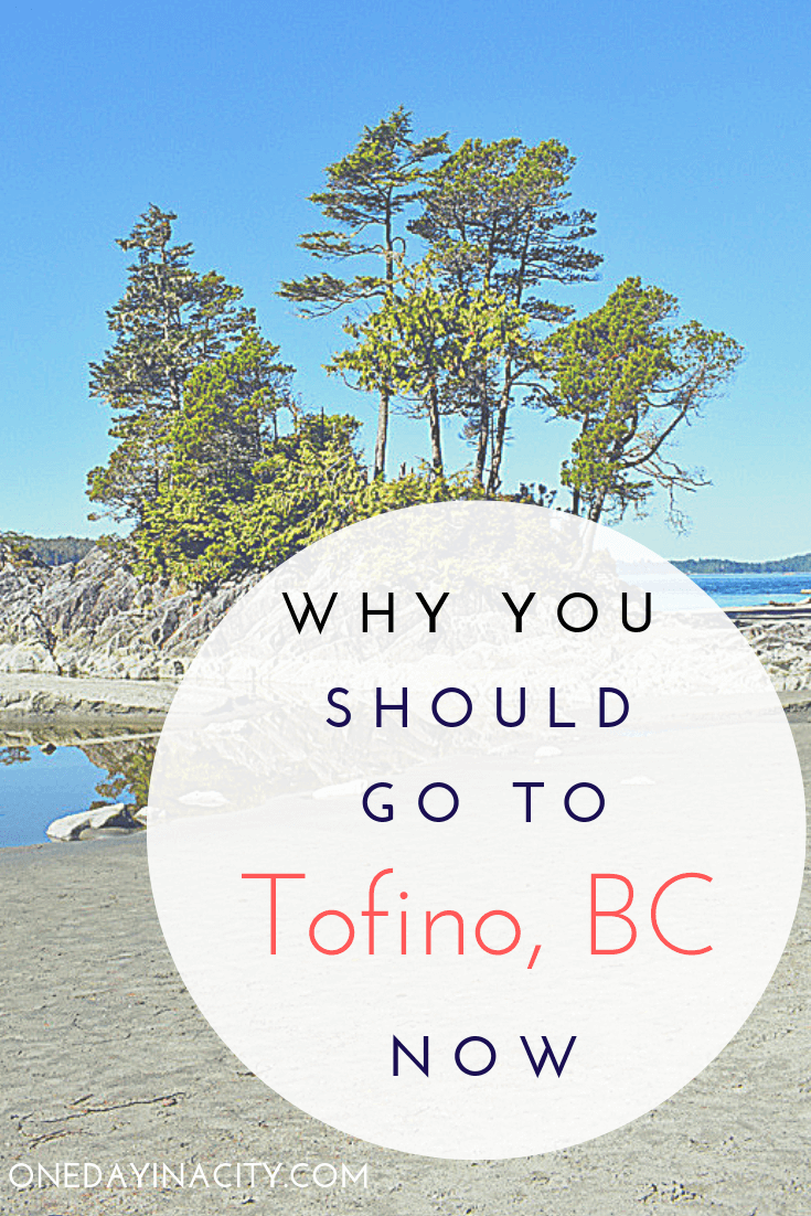 Is Tofino the West Coast's Best Kept Secret? Find out why I think it is and what makes it so special, and why you should visit sooner than later before the rest of the world starts catching onto the wonders of Tofino, British Columbia! 