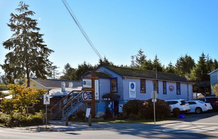 Salt Souvenir Shop in Tofino, British Columbia