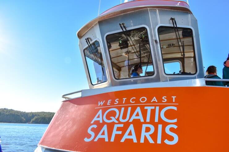 West Coast Aquatic Safaris whale watching boat