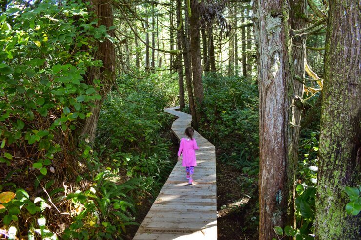 Walking through a rainforest in Tofino