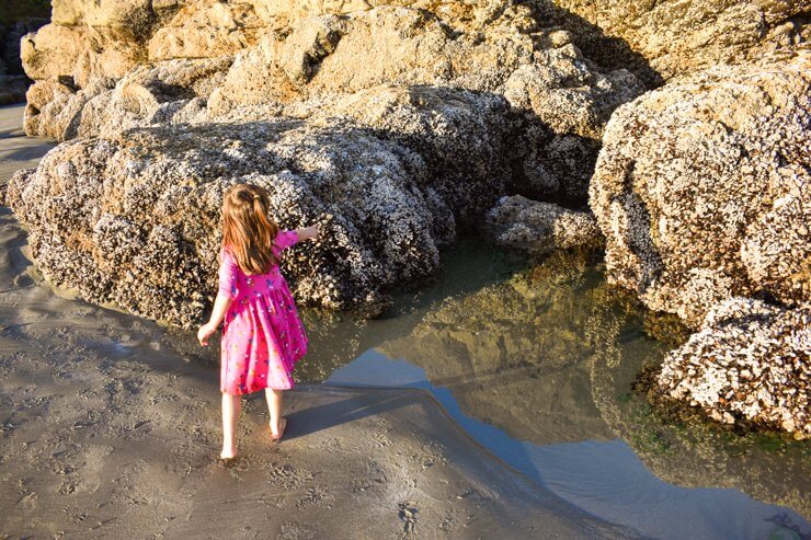 Finding sea creatures among the rocks and tide pools in Tofino