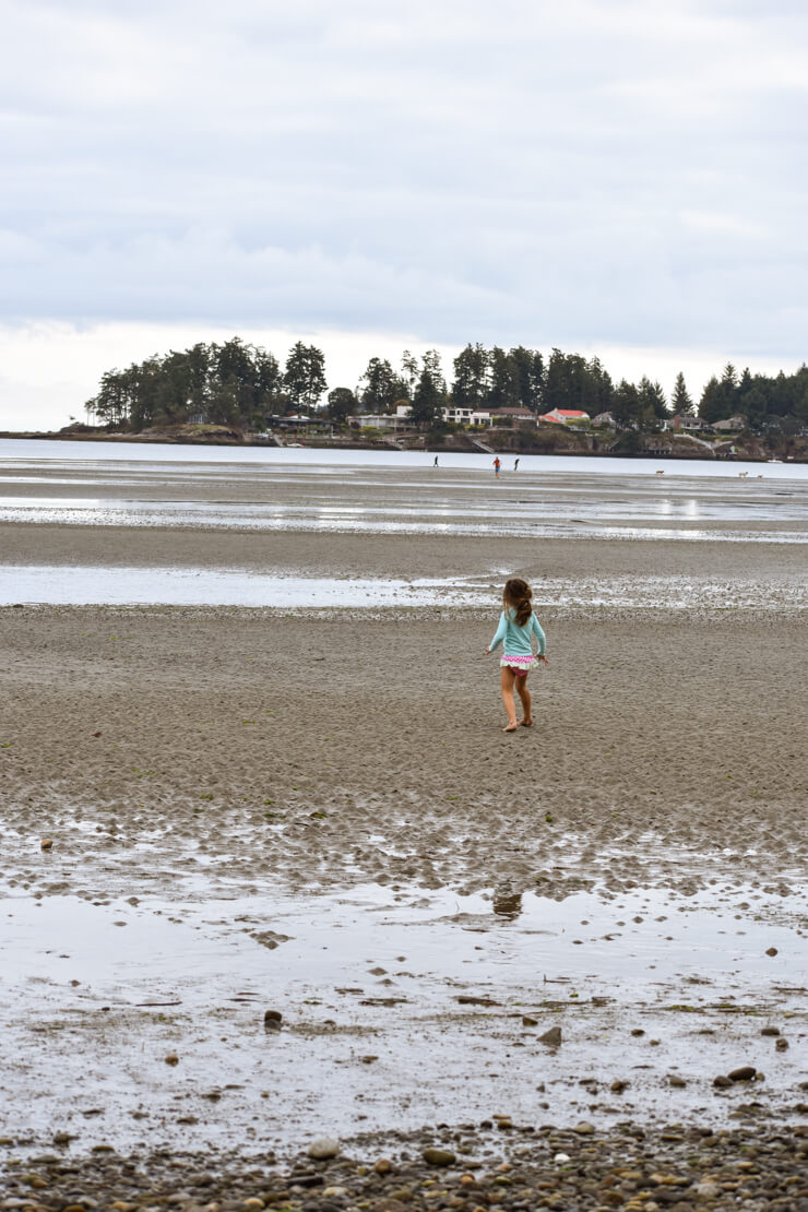 Parksville Beach during Low Tide.