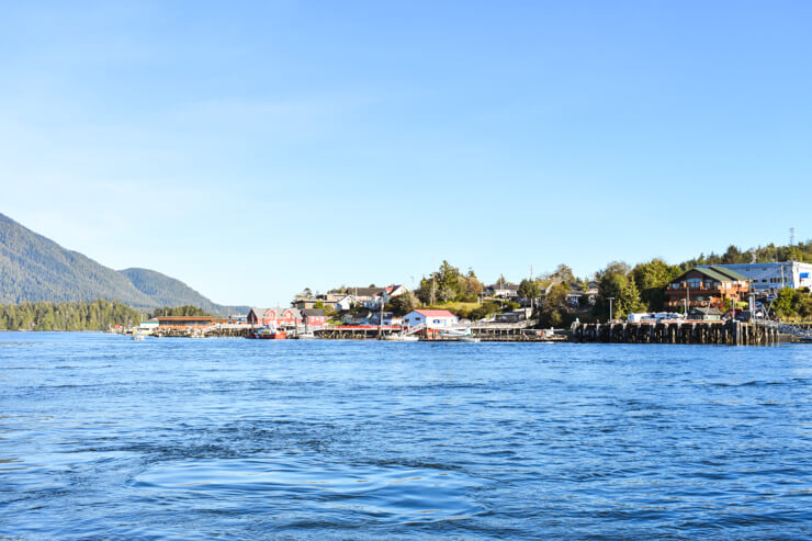 Photo of Tofino from Whale Watching Boat