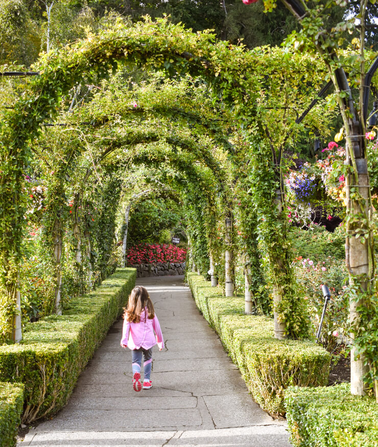 The tunnel that leads to the Rose Garden in Butchart Gardens