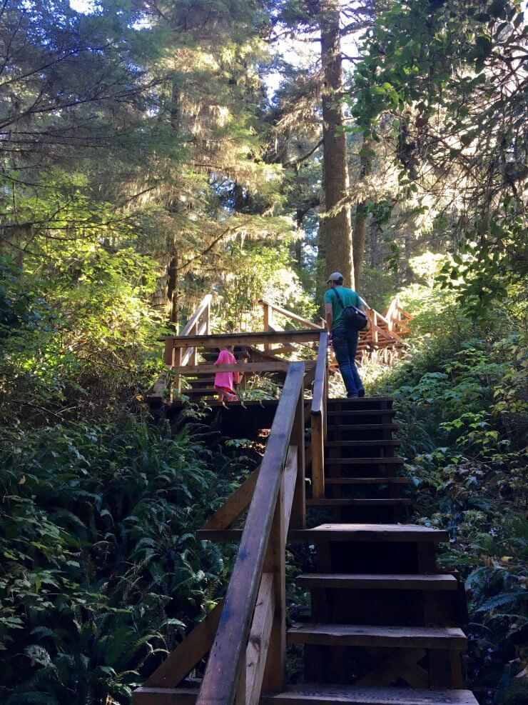 Rainforest Trail Near Tofino in Vancouver Island