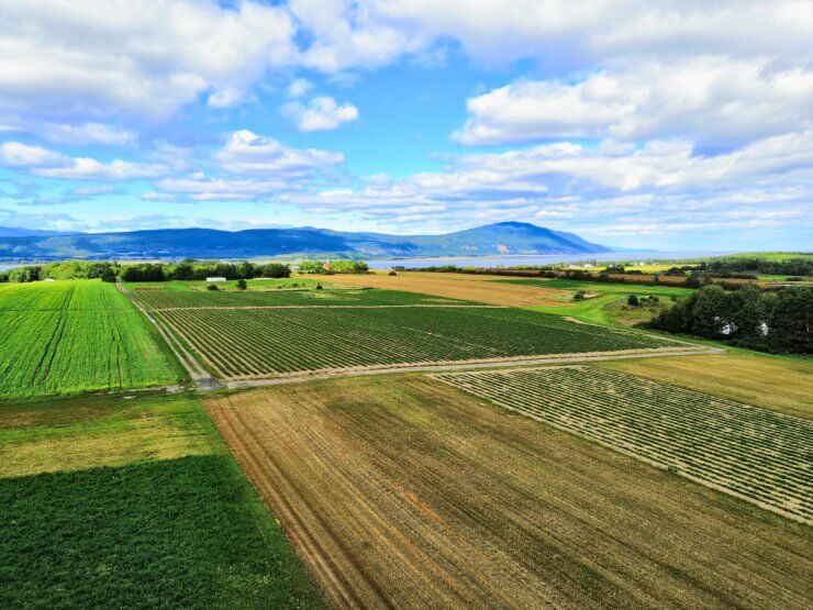 View from the Observation Tower on Île d’Orléans