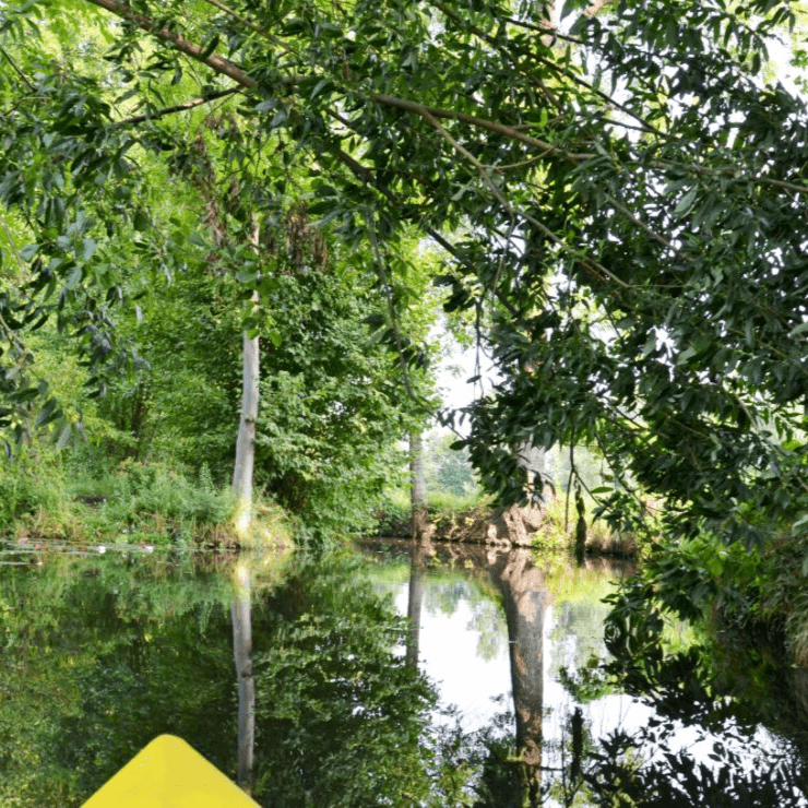 The water system of Spreewald is a great place to kayak.