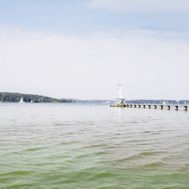 Have a lake escape with one of the best day trips from Berlin to Wannsee Lake