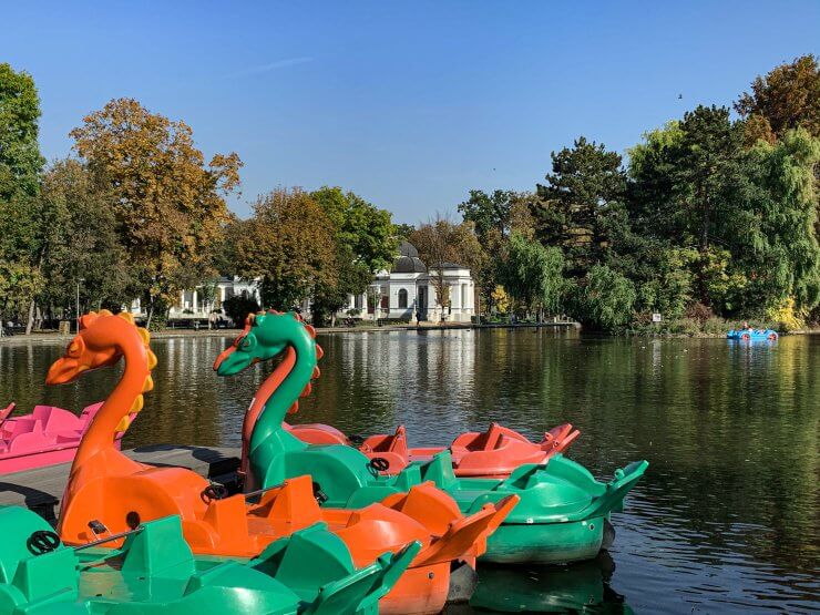 Cluj Dragon Pedaloes in Cluj, Romania