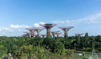 Gardens by the Bay in Singapore under a beautiful blue sky