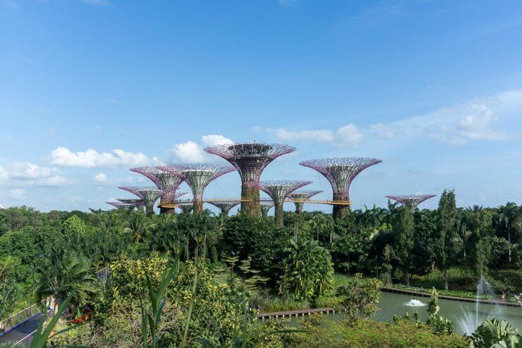 Gardens by the Bay in Singapore under a beautiful blue sky