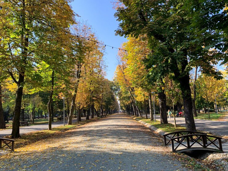 Parcul Central Boulevard