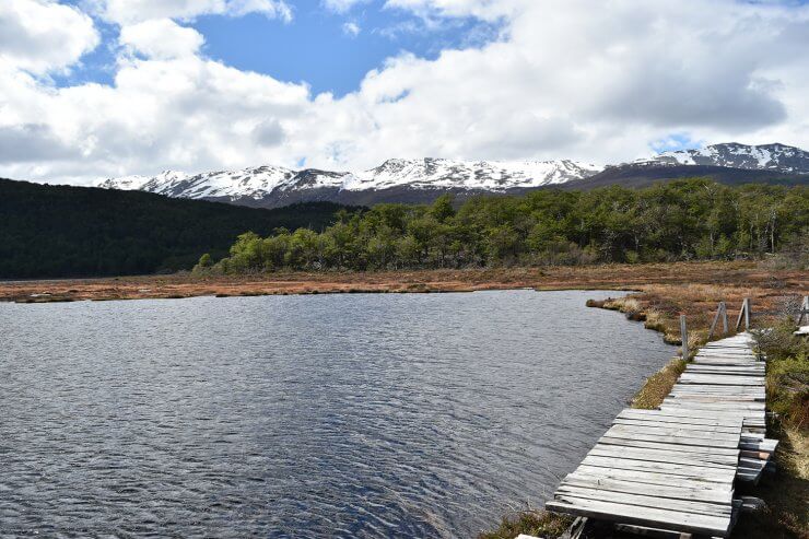 Hiking View in Tierra Del Fuego National Park in Patagonia
