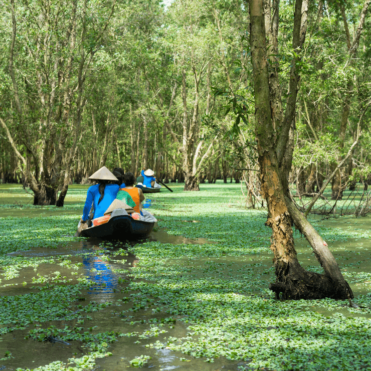 Row boat on the Mekong Delta in Vietnam. 