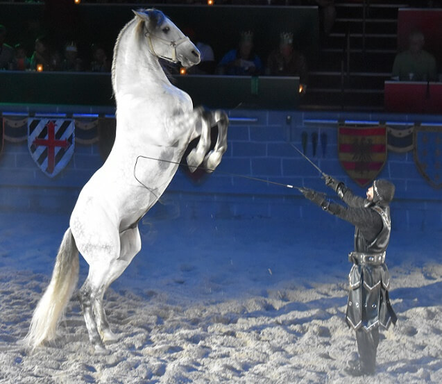 Medieval Times in Orlando