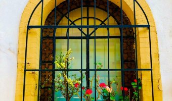 Beautiful window in Condesa, Mexico City